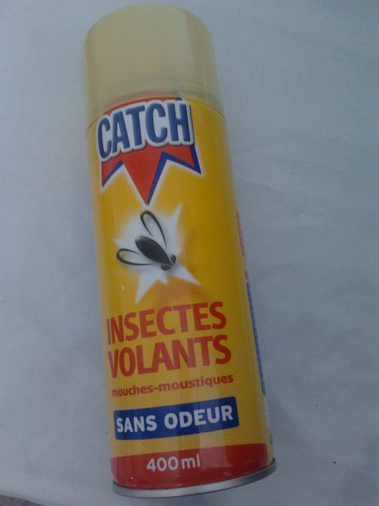 Insecticide anti cafards 3 en 1 max raid, 300ml - Tous les produits  insecticides - Prixing