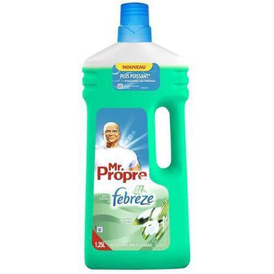 Nettoyant ménager multi-usages fraîcheur du matin MR PROPRE : le flacon de  1,3 L à Prix Carrefour