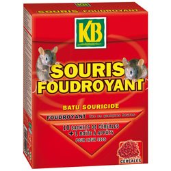 Appât souris foudroyant céréales 10x10g - KB - Jardi Pradel - Jardinerie et  fleuriste à Bagnères-de-Luchon
